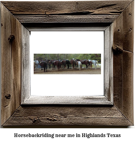 horseback riding near me in Highlands, Texas